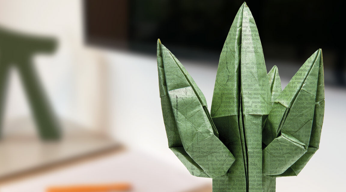 origami-cactus